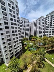 Blk 288C Compassvale Cape (Sengkang), HDB 4 Rooms #535030641
